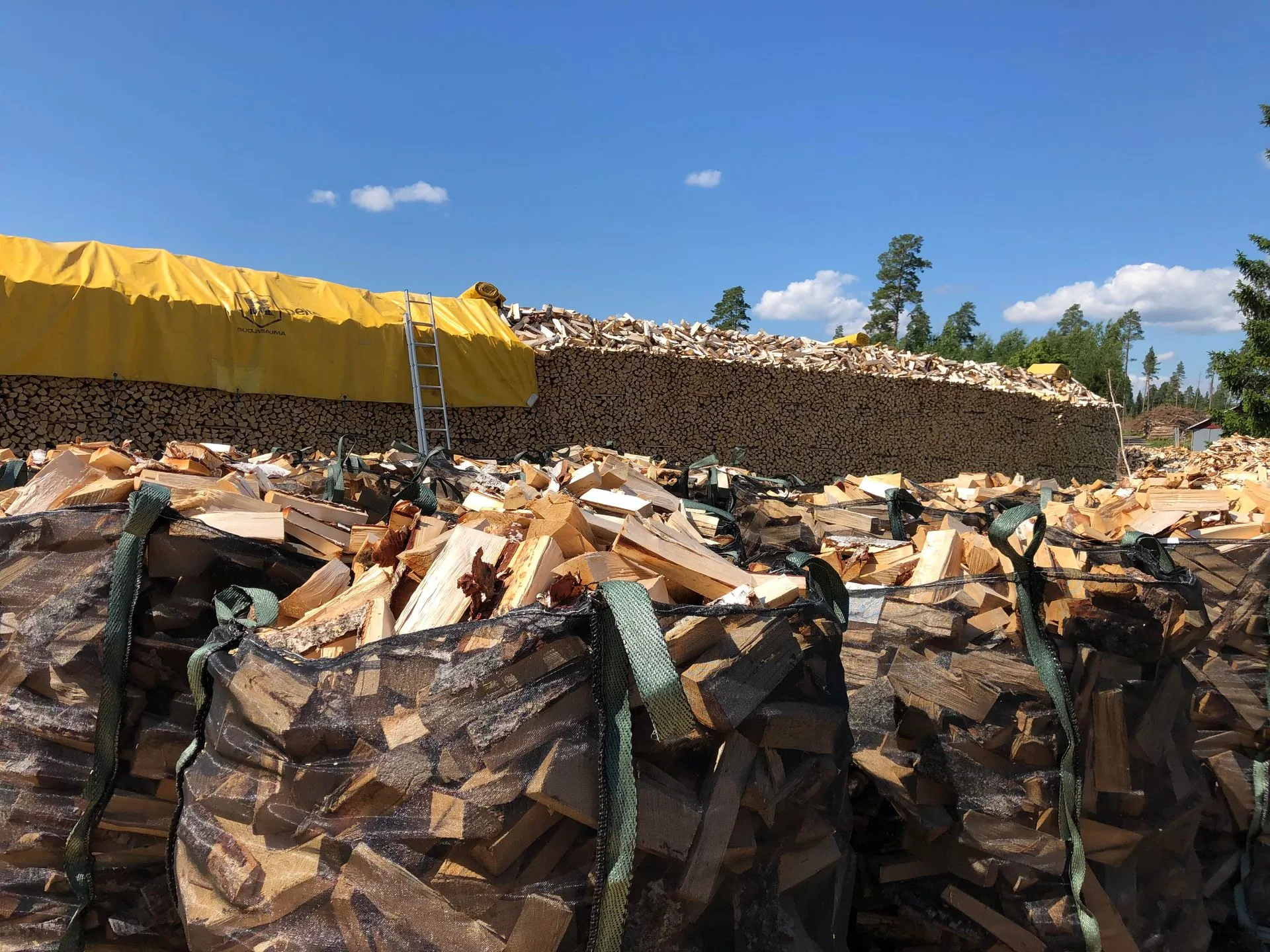 Holzwirtschaft und Logistik WOOD GO GmbH