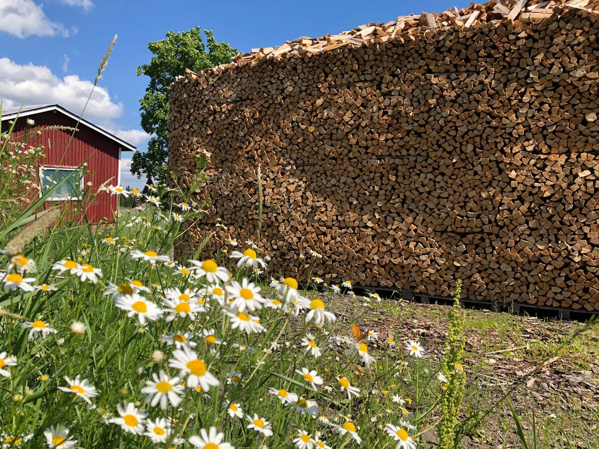 Kammertrockenes Brennholz auf Palette