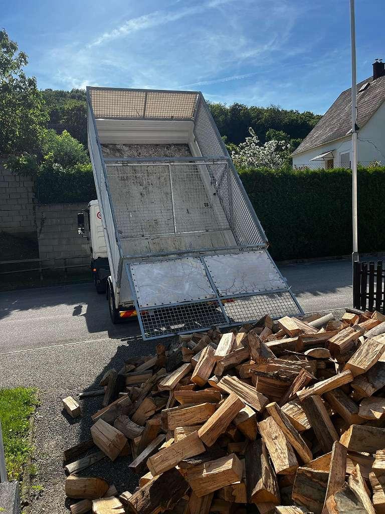 Kammertrockenes Buchenholz auf Palette